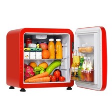 Mini Fridge Compact Portable